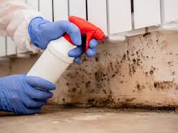 Best Basement Mold Removal  in Rose Hills, CA